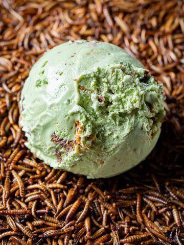 Мороженое, изготовленное из... червей и взрослых насекомых, набирает популярность среди "гурманов"! Мiр продолжает сходить с ума!
