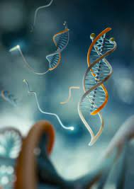 ОЧЕНЬ ВАЖНО!!! С помощью мРНК в человеческие ДНК добавляют... ТРЕТЬЮ СПИРАЛЬ!